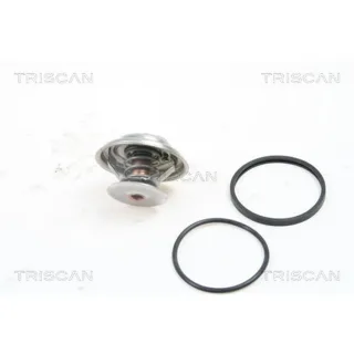 Triscan Thermostat Porsche 911 Boxster Cayman 862037583