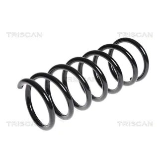 Triscan Feder hinten Ford Grand Mondeo