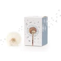 Die Stadtgärtner Spardose Kreative Verpackung zum Geld verschenken, Wunscherfüller Pusteblume