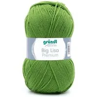 Gründl Big Lisa Premium Häkelwolle, Strickgarn, 250g Häkelwolle, 665,00 m (Wolle zum Stricken und Häkeln, Strickgarn, Handstrickgarn, Strickwolle), Großknäuel