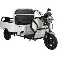 Urban Hopper E-Motorroller Cargo Compact Elektro Lastenrad Lasten-Dreirad VT5-Mini Pritsche, 1000 W, 25 km/h, Pritsche klappbar Reichweite ca. 40km Zuladung 215kg Silber, Rot, Weiß