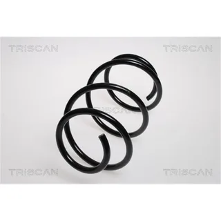 Triscan Feder vorne Mercedes Slk 875023111