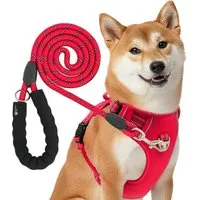 Reichstadt Hunde-Geschirr RS Pets Hundegeschirr & Leinen Set 25RSP083-4, Polyester, atmungsaktives Netzgewebe und robuster Oxford-Stoff