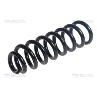 Triscan Feder hinten Mercedes C-Klasse 875023218