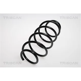 Triscan Feder vorne Mazda 2 DY