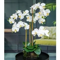 Kunstblume Orchidee Phalaenopsis im Glas, weiß, ca. 50 cm hoch, Dahlia Studios, Höhe 50 cm