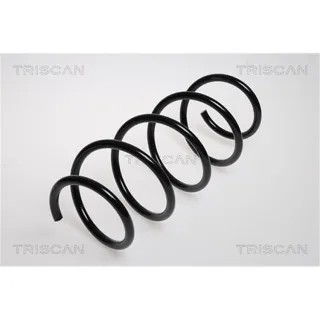 Triscan Feder vorne Renault Megane 2 87502552