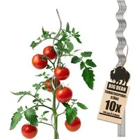 BigDean Rankgitter Tomatenspiralstäbe 110cm verzinkt Rankstab Ranke Pflanzstab Set, 10 St., Tomatenstäbe, Spiralstab, Mit Bindeloch