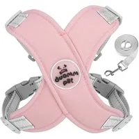 KINSI Hunde-Geschirr Hundegeschirr, Hundeweste mit Leine, Brustgeschirr für Haustiere, Geeignet für 6-10 kg Verstellbarer, reflektierender Hunde-Brustgurt