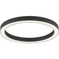 Neuhaus PURE LED Deckenleuchte PURE Lines Round, CCT - über Fernbedienung, LED fest integriert, warmweiß - kaltweiß, Stufenlos dimmbar über Fernbedienung, CCT