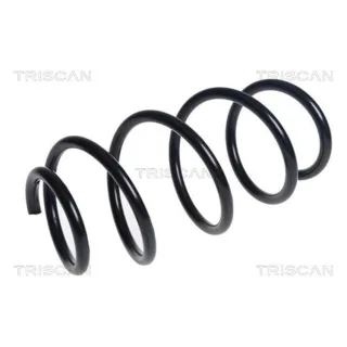 Triscan Feder vorne Opel Corsa E 875024205