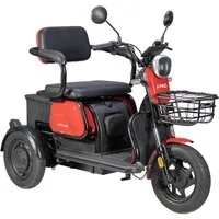 Volta E-Motorroller Volta APM 2 Elektro Seniorenmobil Dreirad E-Roller Senioren-Roller, 1000 W, 25 km/h, Mit Korb ca. 36km Reichweite, Blei-Gel Akku, 3-Gänge, COC