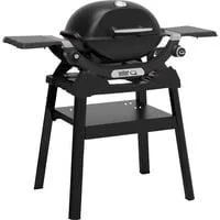Gasgrill Q 1200N mit Stand schwarz, 2,93 kW, mit Seitentischen
