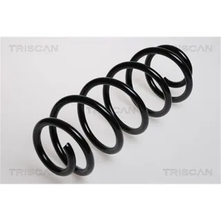 Triscan Feder vorne Audi A4 VW Passat