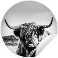 MuchoWow Wandsticker Kuh - Schottischer Hochländer - Schwarz - Weiß - Tier - Natur - Wildti (1 St), Wandtattoo Selbstklebend, Wohnzimmer Deko Aufkleber, 30x30 cm