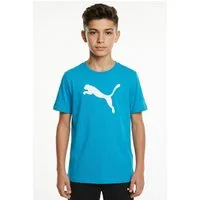 PUMA Fußballtrikot TEAMRISE LOGO JERSEY COTTON JR für Fußball, für Jugendliche, Kurzarm, Rundhalsausschnitt