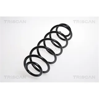 Triscan Feder hinten Citroen C3 Peugeot 1007