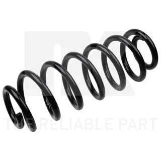 NK Feder hinten VW Golf 5