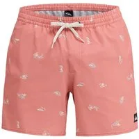Quiksilver Boardshorts Stretch Printed Volley 16"