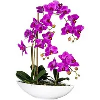 Kunstorchidee Phalaenopsis Orchidee Phalaenopsis, Creativ green, Höhe 60 cm, im Keramikschiff