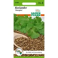 SAMEN PFANN Kräutersamen Koriander, Shanghai - Kräuter-Samen Gewürz Saatgut Samen, Coriandrum sativum