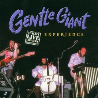 Experience
