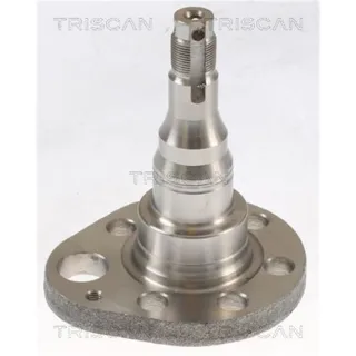 Triscan Radnabe Hinten Seat VW 853529016