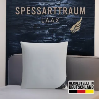 SPESSARTTRAUM 3-Kammer-Kopfkissen "Laax Kissen 40x80 cm & 80x80 cm" Füllung: 100Daunen 1 Stk. tlg. 3-Kammerkissen weich und stützend