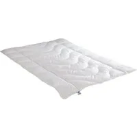 Irisette Sale Baumwollbettdecke Steppbett Irisette Lara, Füllung: Markenhohlfaser irisette® Fill® - 100% Polyester, Bezug: weich und hautsympathisch, waschbar bis 95°C, erhältlich in 4 Wärmeklassen, allergikergeeignet