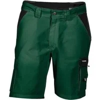 Dassy Shorts