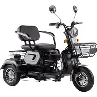 ENEWAY Elektromobil Bari, 500,00 W, 6,00 km/h, (Set, Fahrzeug mit Korb, Spiegel, Ladegerät), inklusive Körbe, mit leistungsfähigen Akkus