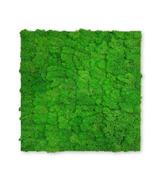 Wandpaneel MODULAR WALL