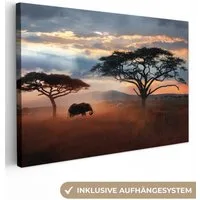 OneMillionCanvasses® Leinwandbild Elefant - Baum - Berg - Afrika, Fotodruck (1 St), Leinwand Bilder Klein, Wand Dekoration Aesthetic 30x20 cm
