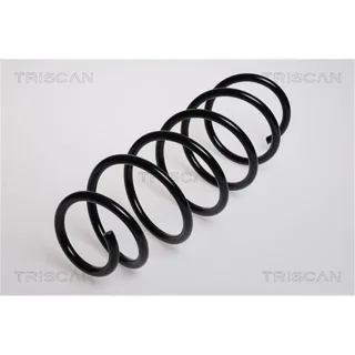 Triscan Feder hinten Ford Mondeo 3 875016024