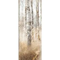 artissimo Glasbild Bild aus Glas 30x80 cm / Wandbild Hochformat / Wanddeko modern, Landschaft und Natur: Birkenwald in weiß beige