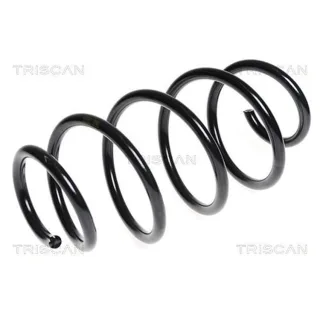 Triscan Feder vorne Ford Mondeo 4 875016066
