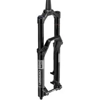 RockShox Federgabel Federgabel RS.Domain Gold Isolator RC3 29",15x110mm,150mm,sw,44offset