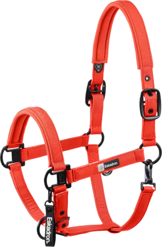 Halfter Sparkle Double Pin Dynamic