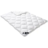 Irisette Microfaserbettdecke Steppbett Irisette Edition, Füllung: Markenhohlfaser irisette® Fill® - 100% Polyester, Bezug: weich und anschmiegsam, kochwaschbar bis 95°C, allergikergeeignet, preisbewusste Schläfer