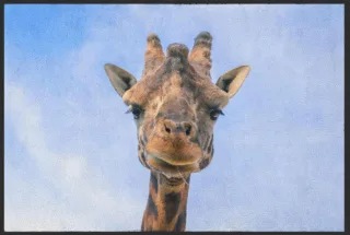 Fussmatte Giraffe 6104 | Größe: 60 cm x 45 cm