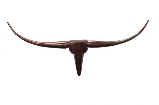 Wanddekoration Geweih Bull S 75 cm Aluminium bronze