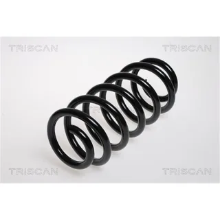Triscan Feder vorne Audi A4 B6 B7 875029094