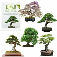 HappySeed Blumensamen Exotische Bonsai Samen mit hoher Keimrate - 5er Set inkl. GRATIS eBook, Bonsai