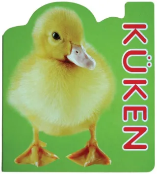 Fotopappe: Entchen