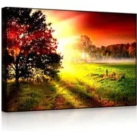 lightbox-multicolor LED-Bild Sonnenuntergang an nebliger Lichtung front lighted / 60x40cm, Leuchtbild mit Fernbedienung