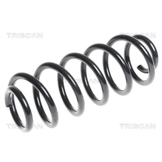Triscan Feder hinten VW Golf 5 6 2,0