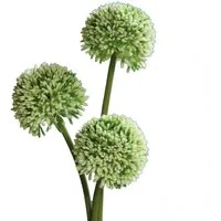 Kunstblume Lauch Blüten Allium Kunstpflanzen 3er Bund 46 cm grün Lauch Blüten, matches21 HOME & HOBBY, Höhe 46 cm, Indoor