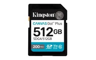 Kingston Canvas Go! Plus | sdg4/512gb | Flash-Speicherkarte