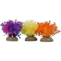Europet-Bernina Aquariendeko Aquariumpflanze Glossostigma farbig