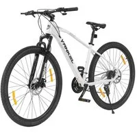 Vankel Mountainbike Fahrrad 29 Zoll MTB für Damen und Herren, Shimano 21 Gang, (mit Schutzbleche), Scheibenbremse, Hardtail Fahrrad, ab 160cm geeignet, Kettenschaltung